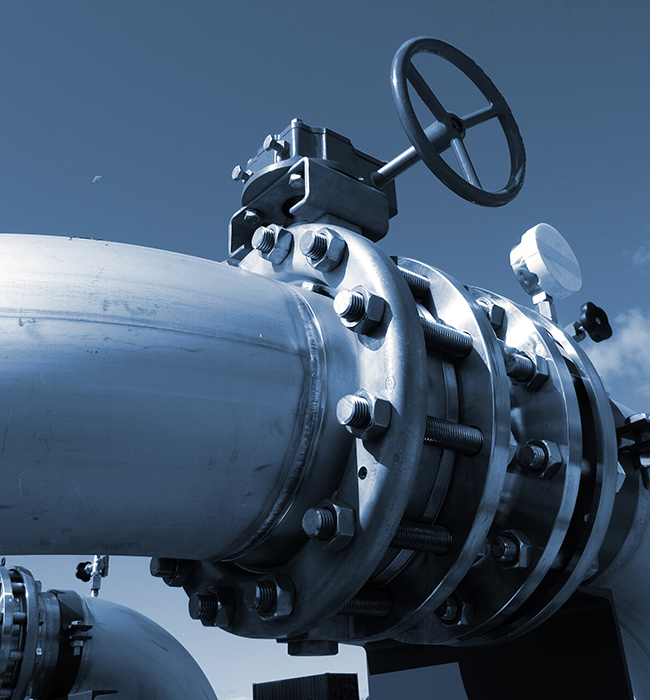 'ผู้พิทักษ์แห่งการควบคุม' ในโลกของไหล